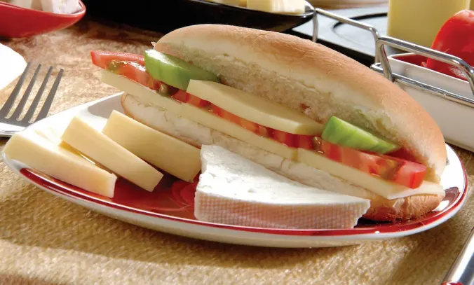 Berberoğlu Süt eritme tost peyniri